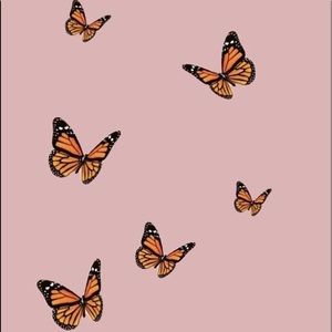 Meet your Posher, Kimmy